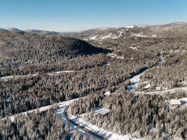 The chalet and its wooded lot