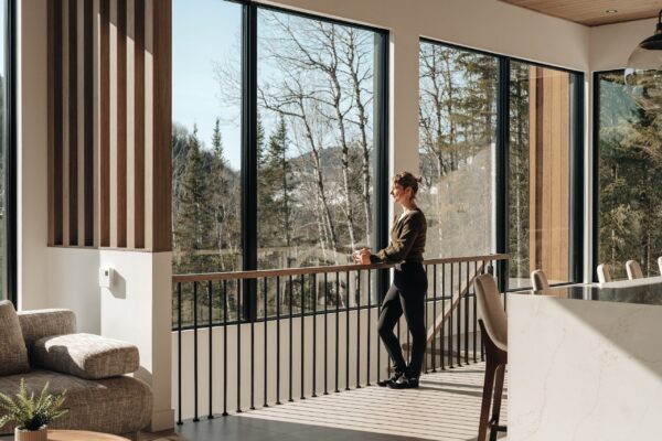 Forest view from the large windows